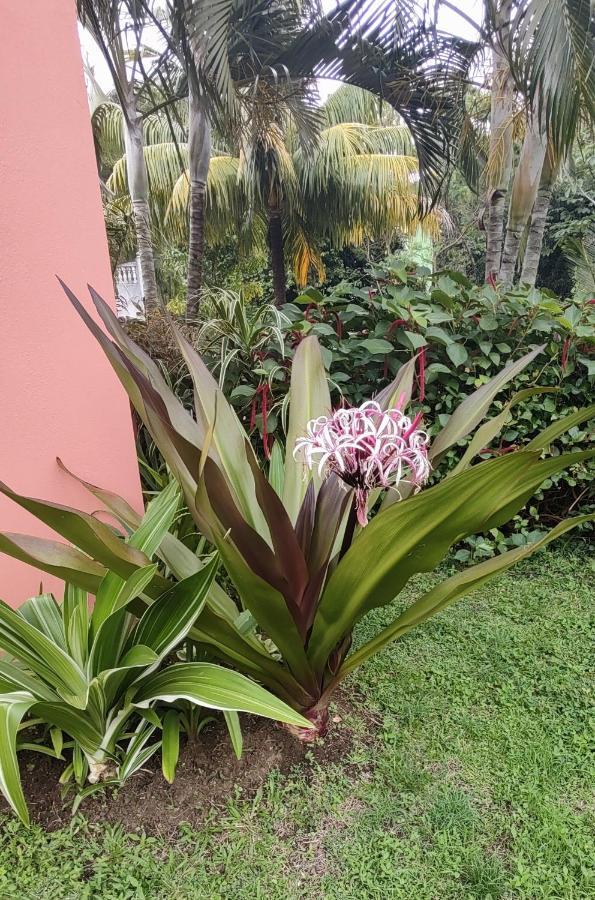 Bencastle Villa جزيرة جورس المظهر الخارجي الصورة